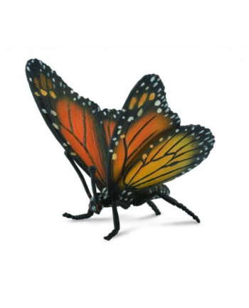 Motyl królewski 88598 COLLECTA