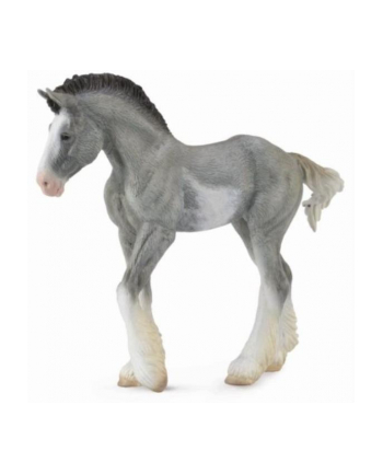 Źrebię Clydesdale foal blue 88626 COLLECTA