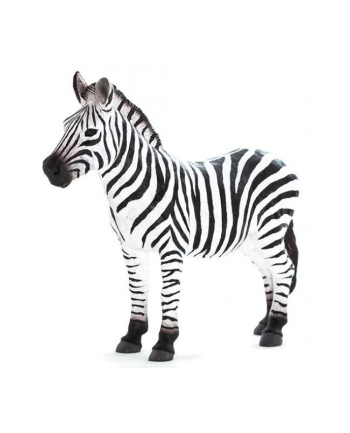Zebra 7169 ANIMAL PLANET