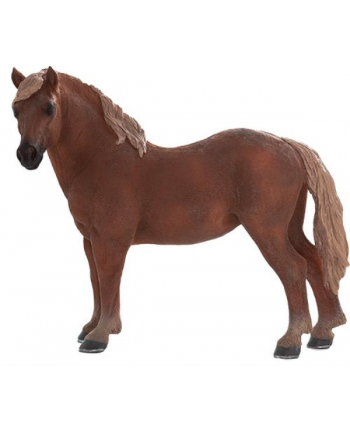 Klacz rasy Suffolk Punch 7195 ANIMAL PLANET