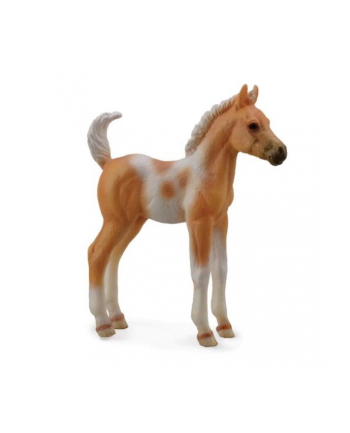 Żrebię Pinto foal palomino 88669 COLLECTA