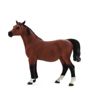 Klacz rasy arabskiej w ciąży 7194 ANIMAL PLANET