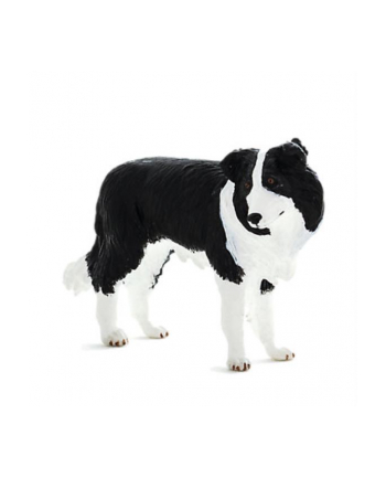 Pies rasy Border Collie 7203 ANIMAL PLANET