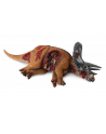 Dinozaur Triceratops Dino Prey 88528 COLLECTA - nr 1
