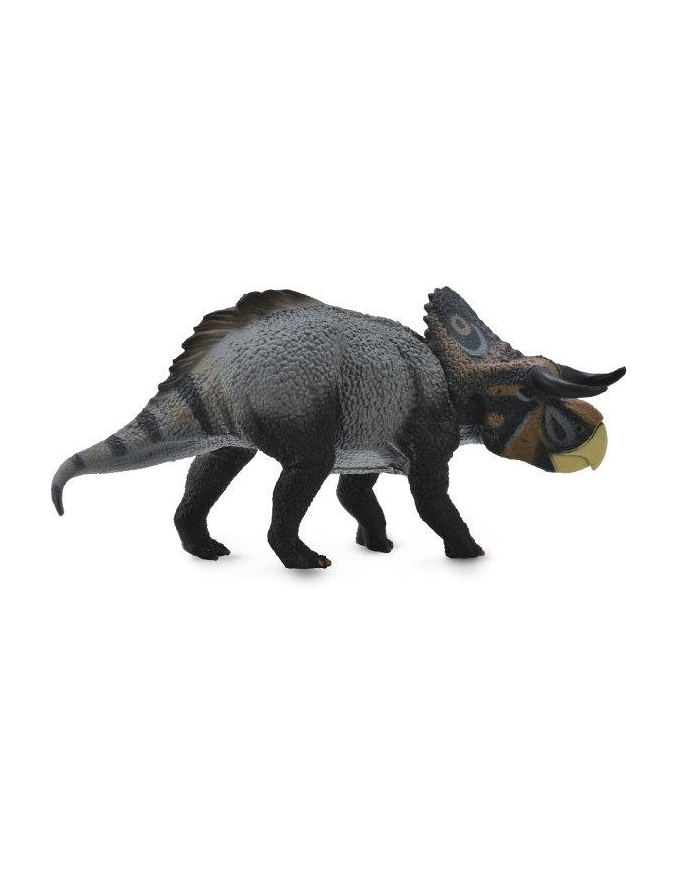 Dinosaur Nasutoceratops 88705 COLLECTA główny