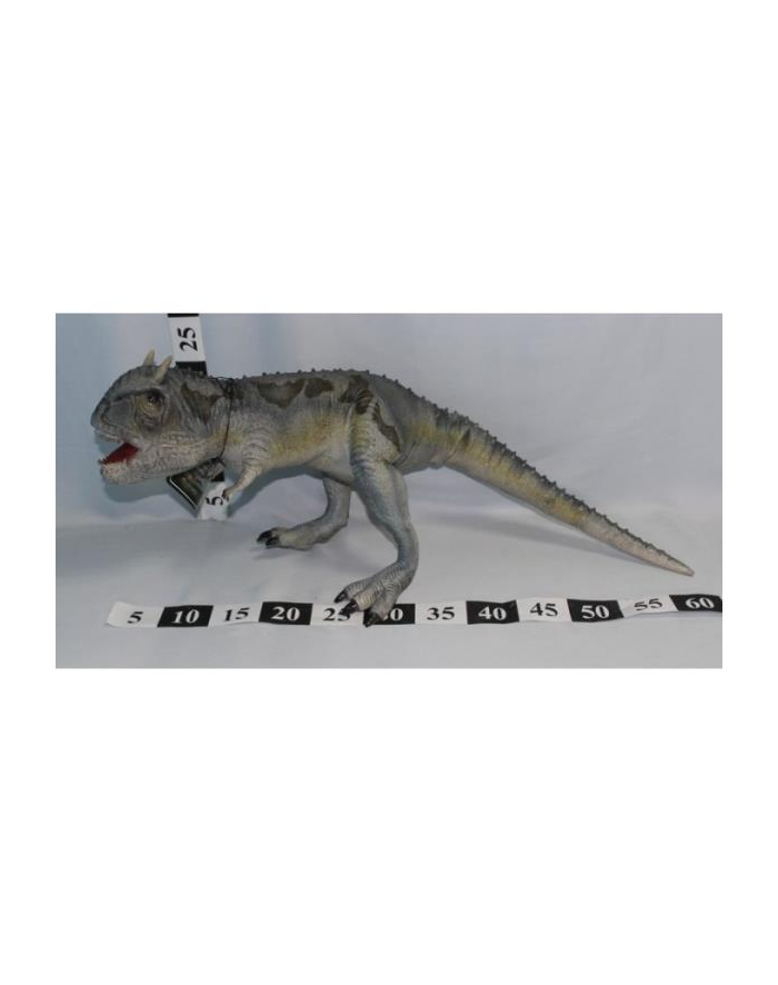 Dinozaur Carnosaurus 70cm główny