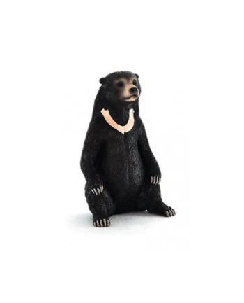 Niedźwiedź malajski 7173 ANIMAL PLANET