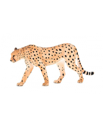 Samiec geparda 7197 ANIMAL PLANET