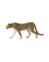 Samiec geparda 7197 ANIMAL PLANET - nr 2