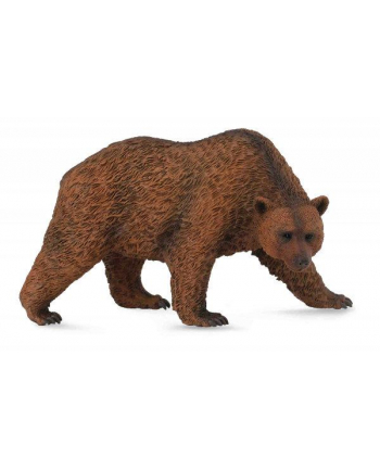Niedźwiedź brunatny 88560 COLLECTA