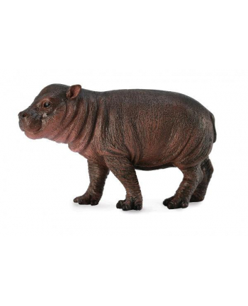 Hipopotam karłowaty baby 88687 COLLECTA