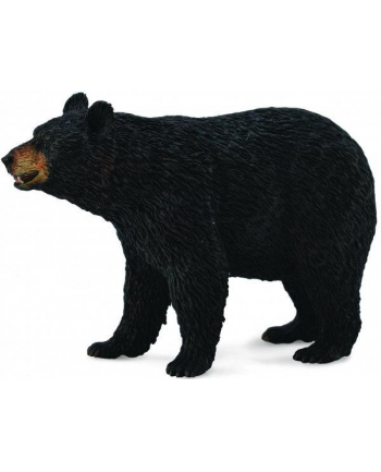 Niedźwiedź Baribal 88698 COLLECTA