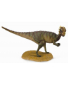 Dinozaur Pachycephalo. COLLECTA - nr 1