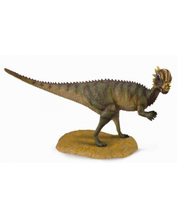 Dinozaur Pachycephalo. COLLECTA