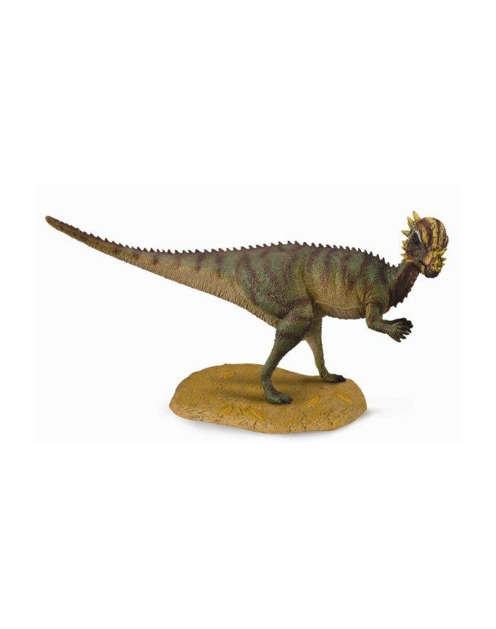 Dinozaur Pachycephalo. COLLECTA główny