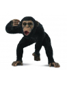 Szympans samiec 88492 COLLECTA - nr 1