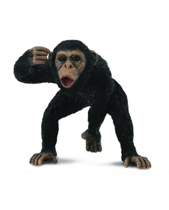 Szympans samiec 88492 COLLECTA