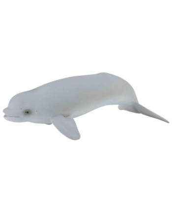 Wieloryb belgua młode 88617 COLLECTA