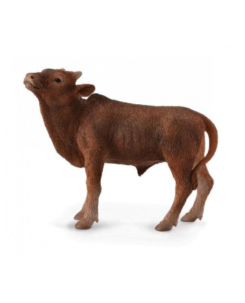 Krowa Ankole-watusi calf 88650 COLLECTA