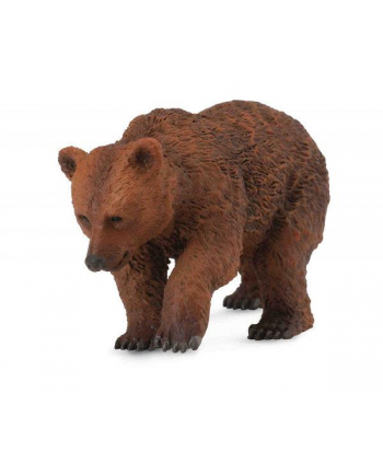 Niedźwiedź brunatny młody 88561 COLLECTA