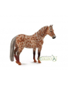 Klacz British Spotted Pony maści kasztan leopard 88750 COLLECTA - nr 1