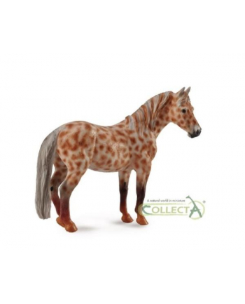 Klacz British Spotted Pony maści kasztan leopard 88750 COLLECTA