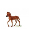 Koń Peruwiański Paso, źrebię maści kasztan 88751 COLLECTA - nr 1