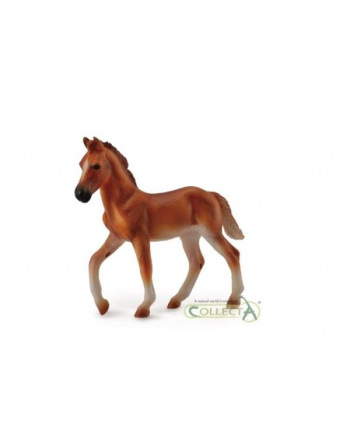 Koń Peruwiański Paso, źrebię maści kasztan 88751 COLLECTA