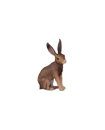 Zając Szarak COLLECTA nr 2