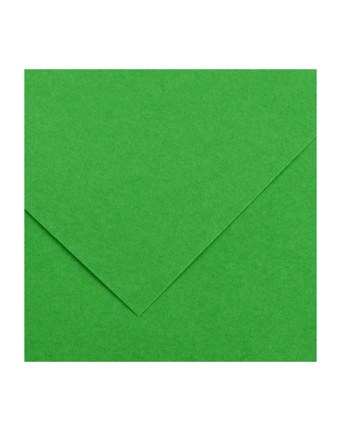 Karton IRIS 70x100 240g 25ark  29 - j.zielony HAMELIN główny