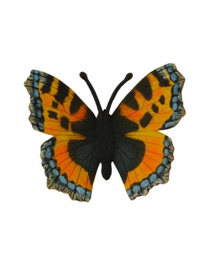 Motyl Rusałka Pokrzywnik COLLECTA główny