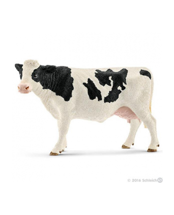 SLH 13797 Krowa rasy Holstein