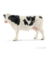 SLH 13797 Krowa rasy Holstein - nr 3