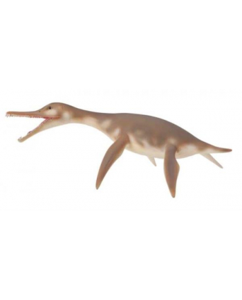 Dinozaur Dolichorhynchops