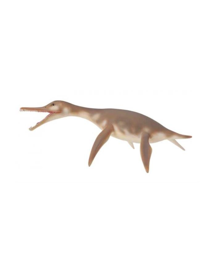 Dinozaur Dolichorhynchops główny