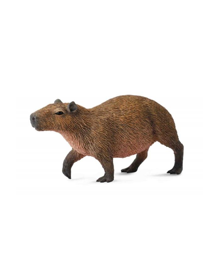 Kapibara gryzoń 88540 COLLECTA główny