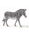 Grevy's zebra 88773 COLLECTA - nr 1