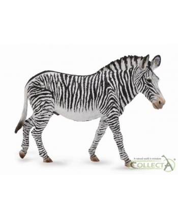 Grevy's zebra 88773 COLLECTA