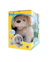 Fado II Piesek interaktywny 8104 TM TOYS - nr 2