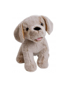 Fado II Piesek interaktywny 8104 TM TOYS - nr 4
