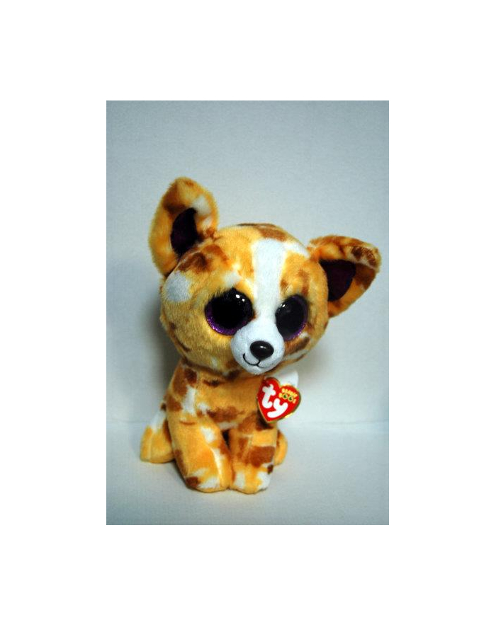 TY BEANIE BOOS PABLO - chihuahua tan 24cm 37066 główny