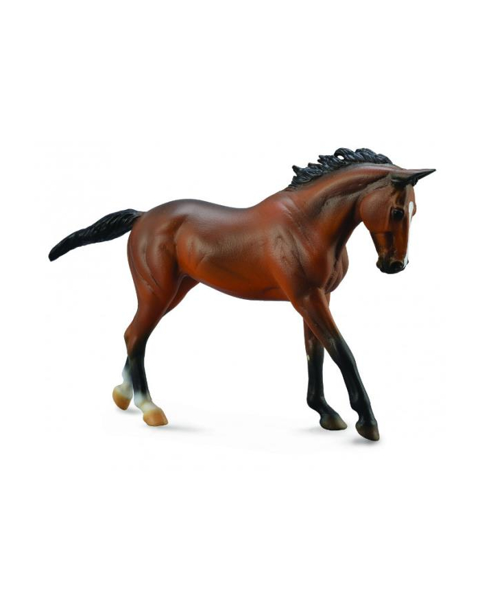 Koń pełnej krwi angielskiej - gniady 88634 COLLECTA główny