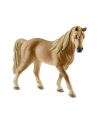 SLH 13833 Klacz rasy Tennessee Walker - nr 4