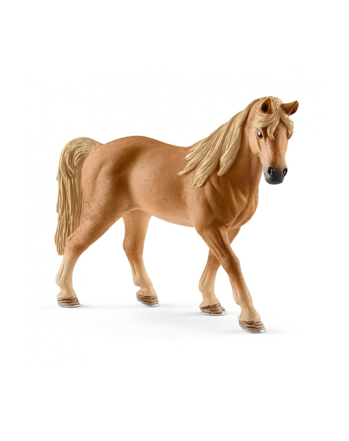 SLH 13833 Klacz rasy Tennessee Walker główny