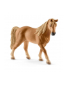 SLH 13833 Klacz rasy Tennessee Walker - nr 6