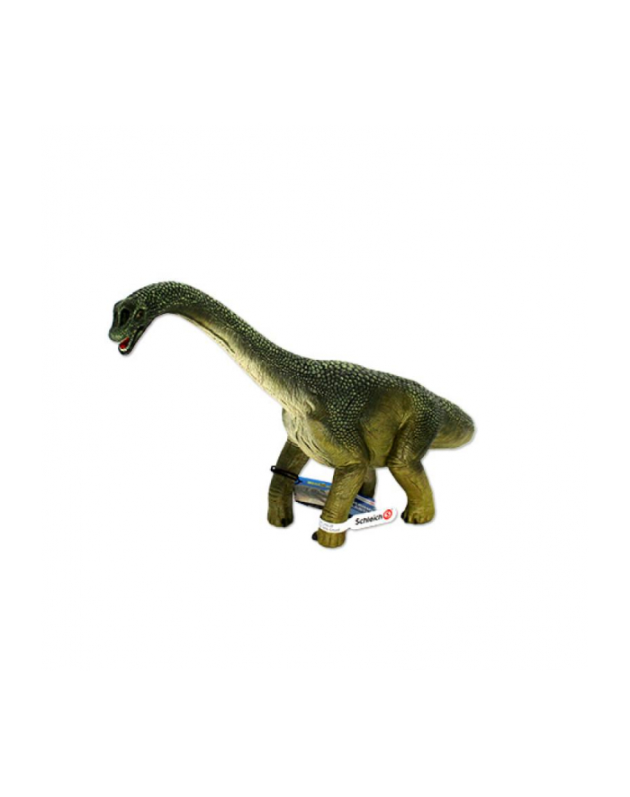 SLH 14581 Brachisaurus główny