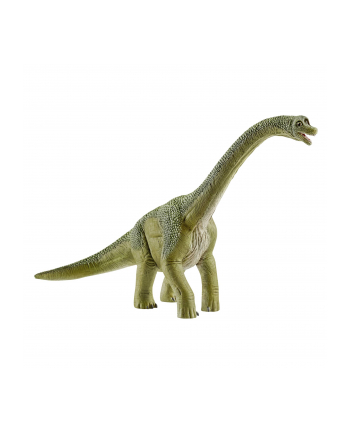 SLH 14581 Brachisaurus