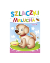 Książ. Szlaczki Malucha 100 p20. KRZESIEK - nr 1