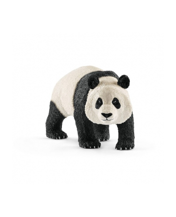 SLH 14772 Panda Wielka samiec