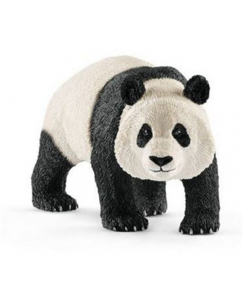 SLH 14772 Panda Wielka samiec